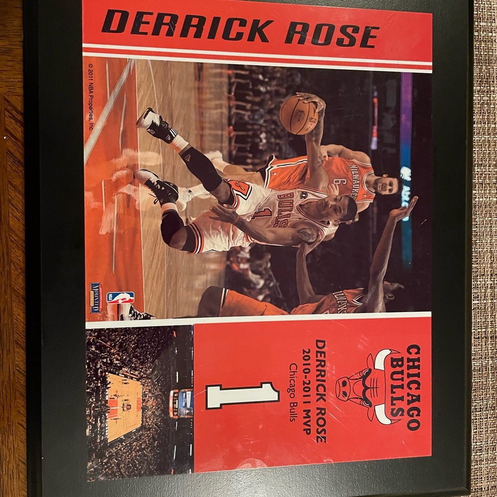 Derrick Rose 2011 MVP Plaque